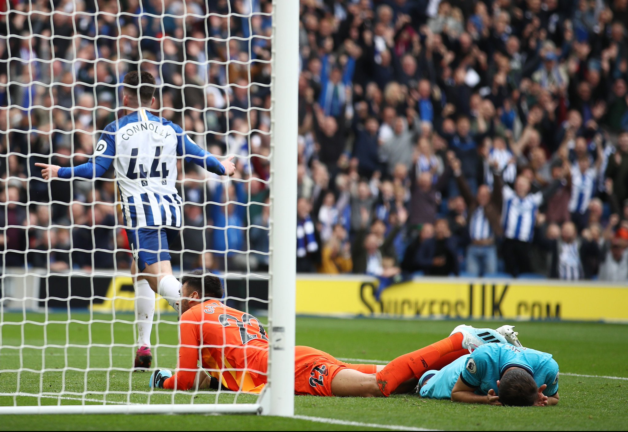 教练和队友 教练和队友